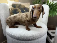 processed/eb280c21-e279-43b4-af5f-5985199ecfb9/listing/eccc5e2e-b0e9-41fc-837f-885fe10aff0c/819d44f0-aa4f-4b71-978c-19f82b632994