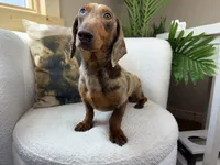 processed/eb280c21-e279-43b4-af5f-5985199ecfb9/listing/eccc5e2e-b0e9-41fc-837f-885fe10aff0c/8f0f8429-ee9e-4795-990f-4805bf72c383