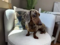 processed/eb280c21-e279-43b4-af5f-5985199ecfb9/listing/eccc5e2e-b0e9-41fc-837f-885fe10aff0c/c6844f47-c79a-47a7-bcbc-c98e711da621