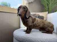 processed/eb280c21-e279-43b4-af5f-5985199ecfb9/listing/eccc5e2e-b0e9-41fc-837f-885fe10aff0c/dc0ccb87-5a65-454e-9003-38590b5fd2da