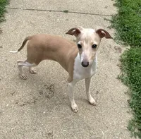 processed/eb2a47aa-0f67-45a3-a67a-3a3b9020700a/listing/20dfdd0e-eb16-4f7a-bb2c-f6489b3f2219/4755d244-5af3-43c7-bc3d-a755d8a2bd07