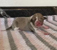 processed/eb2a47aa-0f67-45a3-a67a-3a3b9020700a/listing/20dfdd0e-eb16-4f7a-bb2c-f6489b3f2219/c655c366-64dd-4632-b0c5-fd68adce9e6d