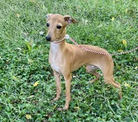 processed/eb2a47aa-0f67-45a3-a67a-3a3b9020700a/listing/30ab98e3-54ba-4071-9d9e-a5561db6cb54/05fb0475-ae9d-42a7-aee0-e7a21abc1ce7