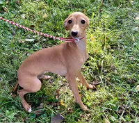 processed/eb2a47aa-0f67-45a3-a67a-3a3b9020700a/listing/30ab98e3-54ba-4071-9d9e-a5561db6cb54/0eb76c6d-6d5d-45f8-952e-8c5198ba885b