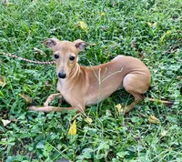 processed/eb2a47aa-0f67-45a3-a67a-3a3b9020700a/listing/30ab98e3-54ba-4071-9d9e-a5561db6cb54/385ef44e-97ff-4125-bb2f-de38d5f75a18