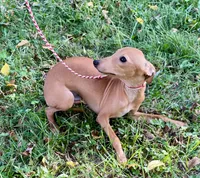 processed/eb2a47aa-0f67-45a3-a67a-3a3b9020700a/listing/30ab98e3-54ba-4071-9d9e-a5561db6cb54/4a4167aa-3a64-4915-892a-fd7cc5fad786