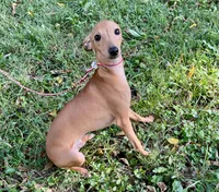 processed/eb2a47aa-0f67-45a3-a67a-3a3b9020700a/listing/30ab98e3-54ba-4071-9d9e-a5561db6cb54/956484ea-917b-485c-bbf3-d3ffd30f5f54