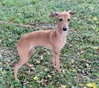 processed/eb2a47aa-0f67-45a3-a67a-3a3b9020700a/listing/30ab98e3-54ba-4071-9d9e-a5561db6cb54/be84d9c2-6eb1-4130-a559-e9a6cc2cc6cb