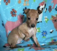 processed/eb2a47aa-0f67-45a3-a67a-3a3b9020700a/listing/43e0ea85-0a6d-423a-92bb-6bdc8c7f1df9/02ce5512-e62c-42a8-b643-c7510e890772