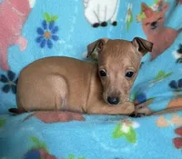 processed/eb2a47aa-0f67-45a3-a67a-3a3b9020700a/listing/43e0ea85-0a6d-423a-92bb-6bdc8c7f1df9/331e3122-20f9-4b8e-bd6e-30602884db72