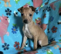 processed/eb2a47aa-0f67-45a3-a67a-3a3b9020700a/listing/43e0ea85-0a6d-423a-92bb-6bdc8c7f1df9/85a11586-a6f6-4ebf-a9cb-a2df38548ba5