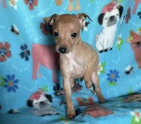 processed/eb2a47aa-0f67-45a3-a67a-3a3b9020700a/listing/43e0ea85-0a6d-423a-92bb-6bdc8c7f1df9/c28d15e5-75e3-471d-a4e1-46b16c4a6c78