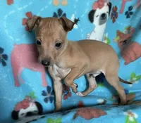 processed/eb2a47aa-0f67-45a3-a67a-3a3b9020700a/listing/43e0ea85-0a6d-423a-92bb-6bdc8c7f1df9/deb7e7e2-eb1d-44db-85af-696f108562f6