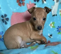 processed/eb2a47aa-0f67-45a3-a67a-3a3b9020700a/listing/43e0ea85-0a6d-423a-92bb-6bdc8c7f1df9/f5e6925f-7abb-4ae1-badd-f794441ed768