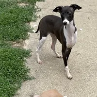 processed/eb2a47aa-0f67-45a3-a67a-3a3b9020700a/listing/7751f804-d128-4282-ae0e-b5888804db59/0629f34a-d1ed-4658-b9f1-a8fd10439aed