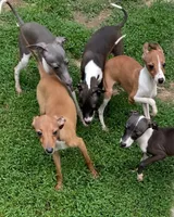 processed/eb2a47aa-0f67-45a3-a67a-3a3b9020700a/listing/7751f804-d128-4282-ae0e-b5888804db59/3cdd49ad-0dcb-4535-8664-c43411189981