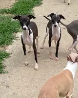 processed/eb2a47aa-0f67-45a3-a67a-3a3b9020700a/listing/7751f804-d128-4282-ae0e-b5888804db59/8305f4c1-031f-4291-a1ea-ac49d7ebae01