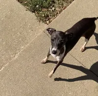 processed/eb2a47aa-0f67-45a3-a67a-3a3b9020700a/listing/7751f804-d128-4282-ae0e-b5888804db59/ac44c51b-f6ad-4886-b46b-cdf08e1a6672