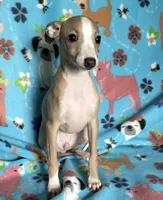 processed/eb2a47aa-0f67-45a3-a67a-3a3b9020700a/listing/934d7c07-2932-404e-a904-9747305bbdfe/6ce7de0e-dbac-4029-bd88-6e1ec48609ea