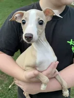 processed/eb2a47aa-0f67-45a3-a67a-3a3b9020700a/listing/934d7c07-2932-404e-a904-9747305bbdfe/8e2dbca1-632e-48e7-a76c-4d69f2e13d0c