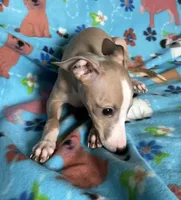 processed/eb2a47aa-0f67-45a3-a67a-3a3b9020700a/listing/934d7c07-2932-404e-a904-9747305bbdfe/be916f34-b2bf-4ed9-83bd-47cc576b9c39