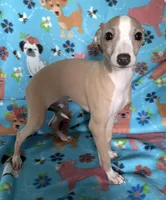 processed/eb2a47aa-0f67-45a3-a67a-3a3b9020700a/listing/934d7c07-2932-404e-a904-9747305bbdfe/cc8d5cee-bc2d-475b-a197-94fd95e5c079