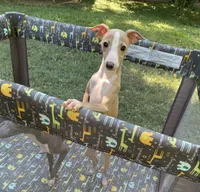 processed/eb2a47aa-0f67-45a3-a67a-3a3b9020700a/listing/934d7c07-2932-404e-a904-9747305bbdfe/f9535222-2e56-4909-bd14-1dd0704136dc