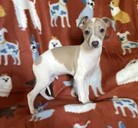 processed/eb2a47aa-0f67-45a3-a67a-3a3b9020700a/listing/bc0ec62f-d657-45fa-a464-898feb2cb216/08dc092f-dff5-4364-bc7f-64448b82d3ab