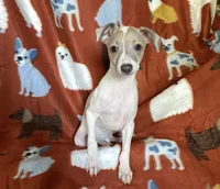 processed/eb2a47aa-0f67-45a3-a67a-3a3b9020700a/listing/bc0ec62f-d657-45fa-a464-898feb2cb216/408bd82c-481f-4f5c-88d4-83910170941a