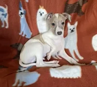 processed/eb2a47aa-0f67-45a3-a67a-3a3b9020700a/listing/bc0ec62f-d657-45fa-a464-898feb2cb216/51e62375-4dd4-4551-bc36-070fc206b449