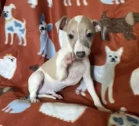 processed/eb2a47aa-0f67-45a3-a67a-3a3b9020700a/listing/bc0ec62f-d657-45fa-a464-898feb2cb216/583f5d15-92a2-40b2-9fab-884bd36b26f8