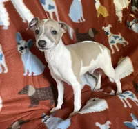 processed/eb2a47aa-0f67-45a3-a67a-3a3b9020700a/listing/bc0ec62f-d657-45fa-a464-898feb2cb216/fadf0506-4af6-4ec9-944f-6362e37ad868