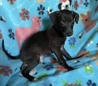 processed/eb2a47aa-0f67-45a3-a67a-3a3b9020700a/listing/c9a99b4d-b51d-4342-bb2c-cd8cfd41a57e/0bf9e704-476b-4e61-be3a-c9cdc8bb0d4b