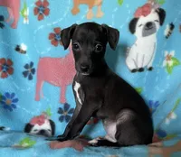 processed/eb2a47aa-0f67-45a3-a67a-3a3b9020700a/listing/c9a99b4d-b51d-4342-bb2c-cd8cfd41a57e/3fe32b3a-16ff-4e71-a0c0-30822add5512