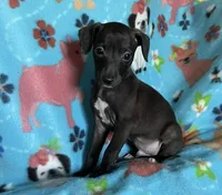 processed/eb2a47aa-0f67-45a3-a67a-3a3b9020700a/listing/c9a99b4d-b51d-4342-bb2c-cd8cfd41a57e/b9959dc7-3437-4a1f-97ca-e4a61c5df612