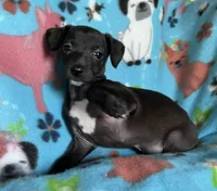 processed/eb2a47aa-0f67-45a3-a67a-3a3b9020700a/listing/c9a99b4d-b51d-4342-bb2c-cd8cfd41a57e/fd8dc88c-746c-4a2c-905b-d637202f1d33