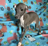 processed/eb2a47aa-0f67-45a3-a67a-3a3b9020700a/listing/d84e6754-ce95-4a3e-becc-d2e2431d986c/1dbe545f-4226-45da-85db-76c2163cc734