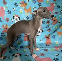 processed/eb2a47aa-0f67-45a3-a67a-3a3b9020700a/listing/d84e6754-ce95-4a3e-becc-d2e2431d986c/42694e2d-f996-4e3a-9a28-f7a8b09365b3