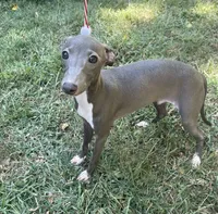 processed/eb2a47aa-0f67-45a3-a67a-3a3b9020700a/listing/d84e6754-ce95-4a3e-becc-d2e2431d986c/4f1b91b1-c555-408e-9976-b8affd5731e5