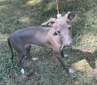 processed/eb2a47aa-0f67-45a3-a67a-3a3b9020700a/listing/d84e6754-ce95-4a3e-becc-d2e2431d986c/661be507-335c-47ed-8890-be534cb82567