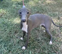 processed/eb2a47aa-0f67-45a3-a67a-3a3b9020700a/listing/d84e6754-ce95-4a3e-becc-d2e2431d986c/8475242f-8a92-4099-83a8-e247f9a5443d