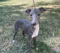 processed/eb2a47aa-0f67-45a3-a67a-3a3b9020700a/listing/d84e6754-ce95-4a3e-becc-d2e2431d986c/94864463-ab9f-4b22-a2c3-c737d5119032