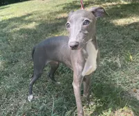 processed/eb2a47aa-0f67-45a3-a67a-3a3b9020700a/listing/d84e6754-ce95-4a3e-becc-d2e2431d986c/9a8286d8-7c3e-4fe7-9a6c-2605d2d6dba4