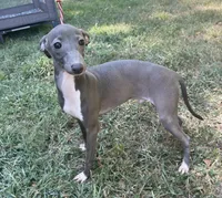 processed/eb2a47aa-0f67-45a3-a67a-3a3b9020700a/listing/d84e6754-ce95-4a3e-becc-d2e2431d986c/a47b8e07-0ce0-4709-9fb5-7baadf9b4712