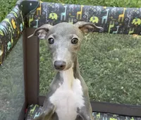 processed/eb2a47aa-0f67-45a3-a67a-3a3b9020700a/listing/d84e6754-ce95-4a3e-becc-d2e2431d986c/d538a8a5-50af-496c-8599-63fc4e3b3871