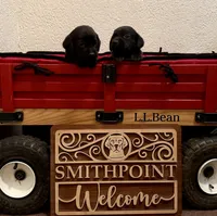 processed/eb327b33-cbc3-4d44-a9cc-4df81062f5aa/listing/a8be28b8-a34b-4208-a318-99ba4d8da4bf/651e1d67-186f-4ece-a977-5b770ad722e8