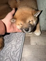 processed/eb413feb-d315-46cf-b605-e173a55fa9d3/listing/2dafc0bb-d5bb-4a39-ba09-9efd93819cf4/0823e96d-cb6b-4097-8428-a75170947ef1