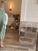 processed/eb413feb-d315-46cf-b605-e173a55fa9d3/listing/2dafc0bb-d5bb-4a39-ba09-9efd93819cf4/581e15ab-fc98-43f9-bb9c-bcc3b357acc8