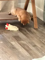 processed/eb413feb-d315-46cf-b605-e173a55fa9d3/listing/5192b510-e935-47b9-9a6e-ec37be4a77a3/7d70b60c-27f5-4355-a400-2fbc98de8795