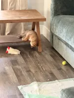 processed/eb413feb-d315-46cf-b605-e173a55fa9d3/listing/5192b510-e935-47b9-9a6e-ec37be4a77a3/bef2e0c7-e763-43de-9d7d-38ea7bd8698b